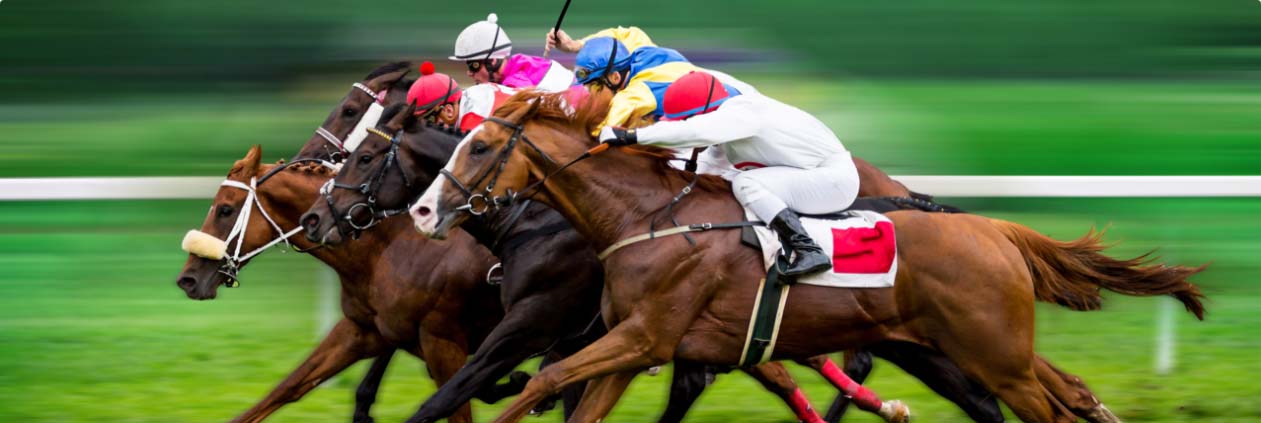 asian horse racing betting odds